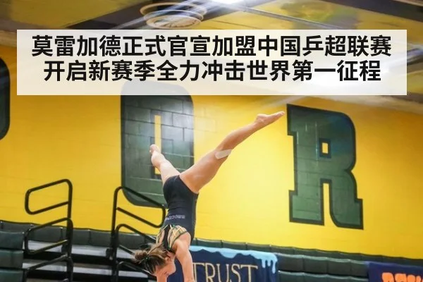 莫雷加德正式官宣加盟中国乒超联赛开启新赛季全力冲击世界第一征程
