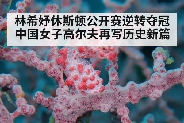 林希妤休斯顿公开赛逆转夺冠中国女子高尔夫再写历史新篇