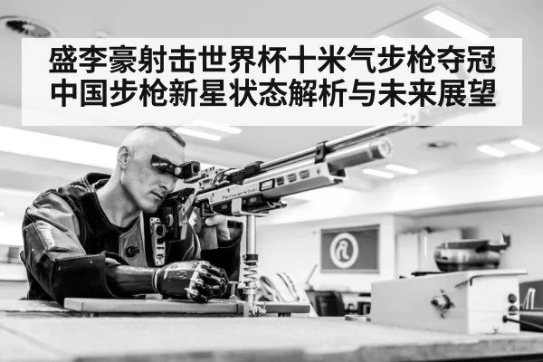 air rifle target